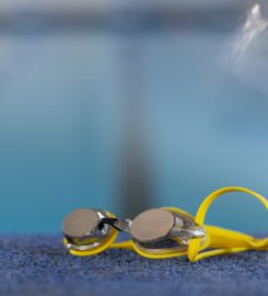 Aquatic Joy Swim Toys